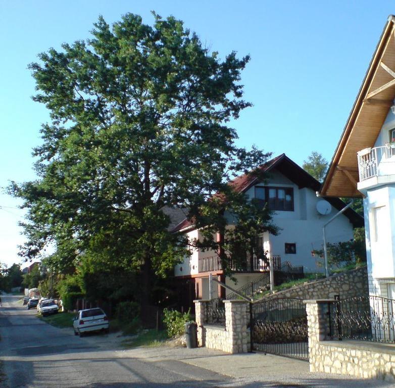Budai Garden House Hévíz Chambre photo