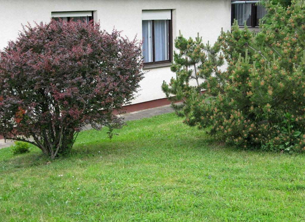 Budai Garden House Hévíz Chambre photo