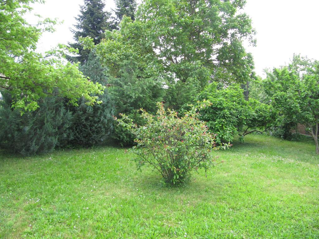 Budai Garden House Hévíz Chambre photo